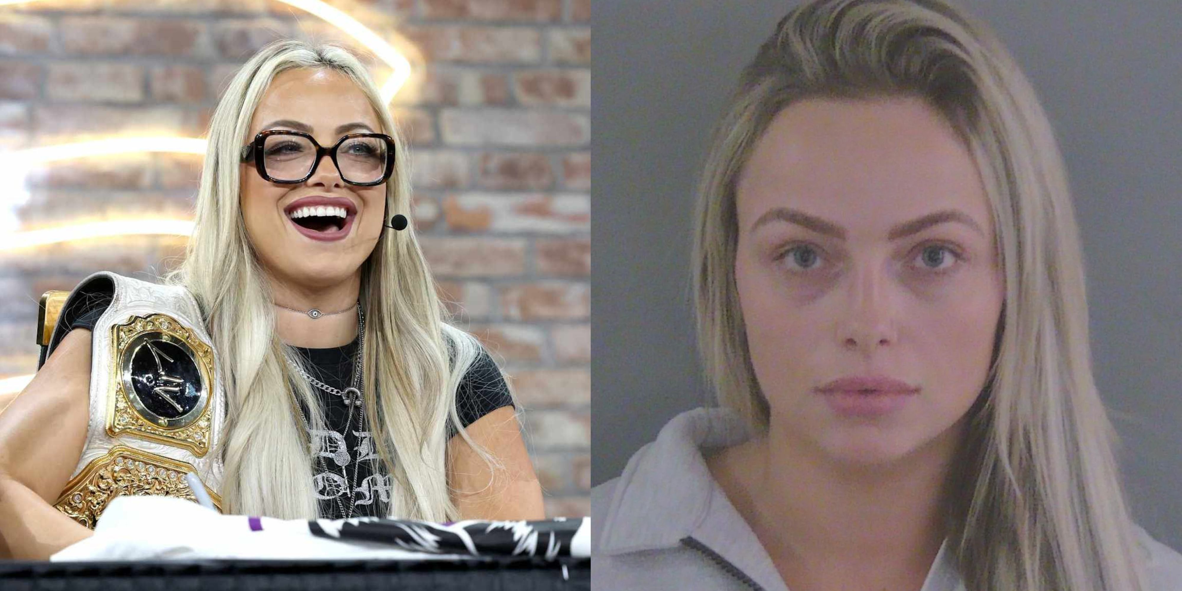 Liv Morgan Mugshot Explained: Why Was She Arrested? (Breaking Down the Recent Charges)