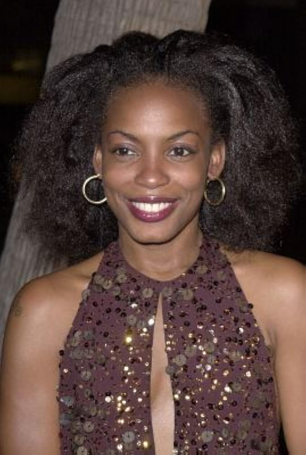 Aunjanue Ellis Taylor Bio: Age, Career, and Personal Life Insights