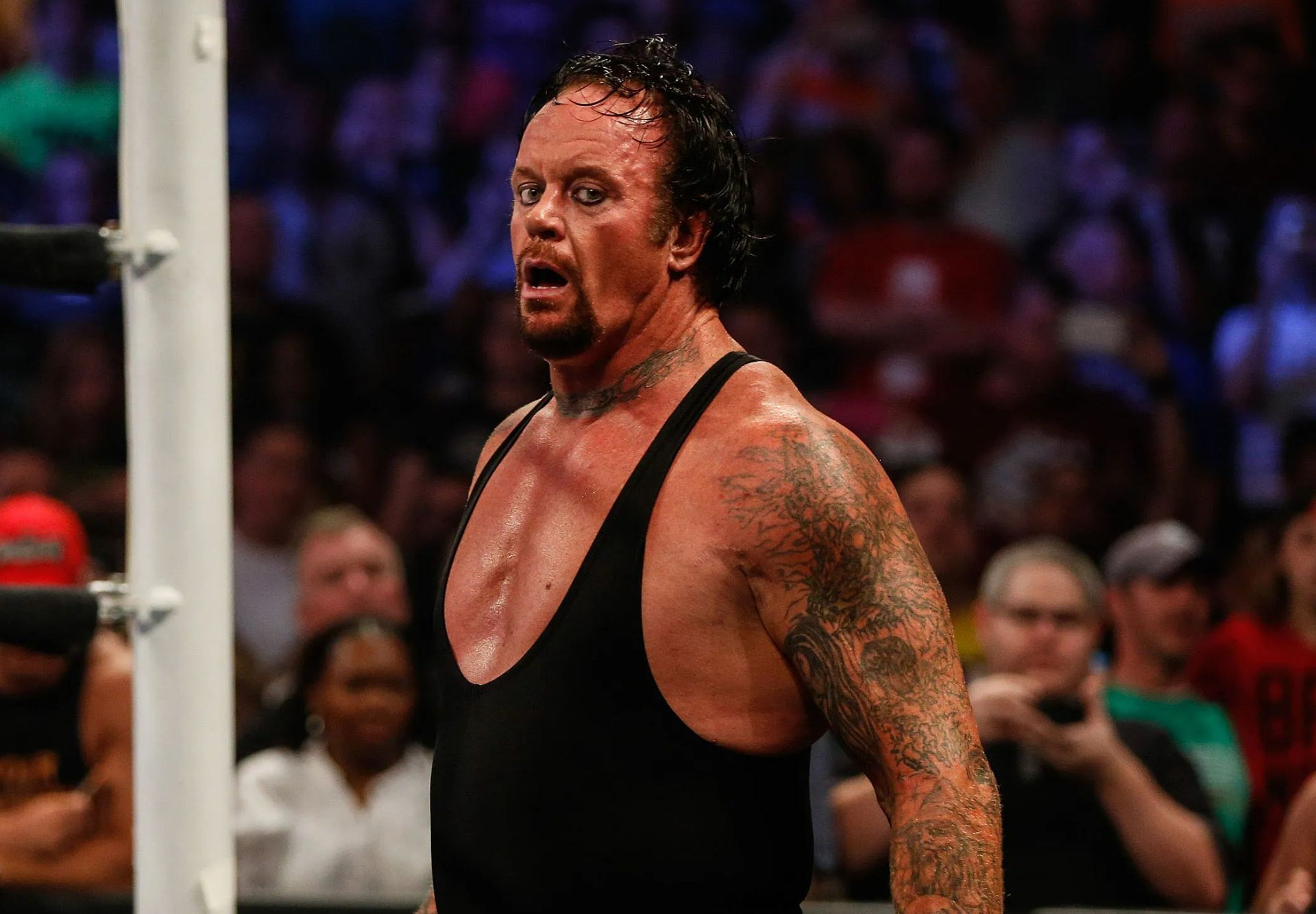 Undertaker Net Worth Revealed: Wrestling Legends Career Earnings