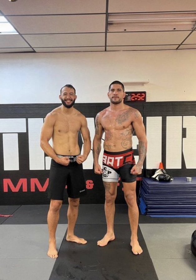 Alex Pereira Height in cm: Comparing to Other Fighters