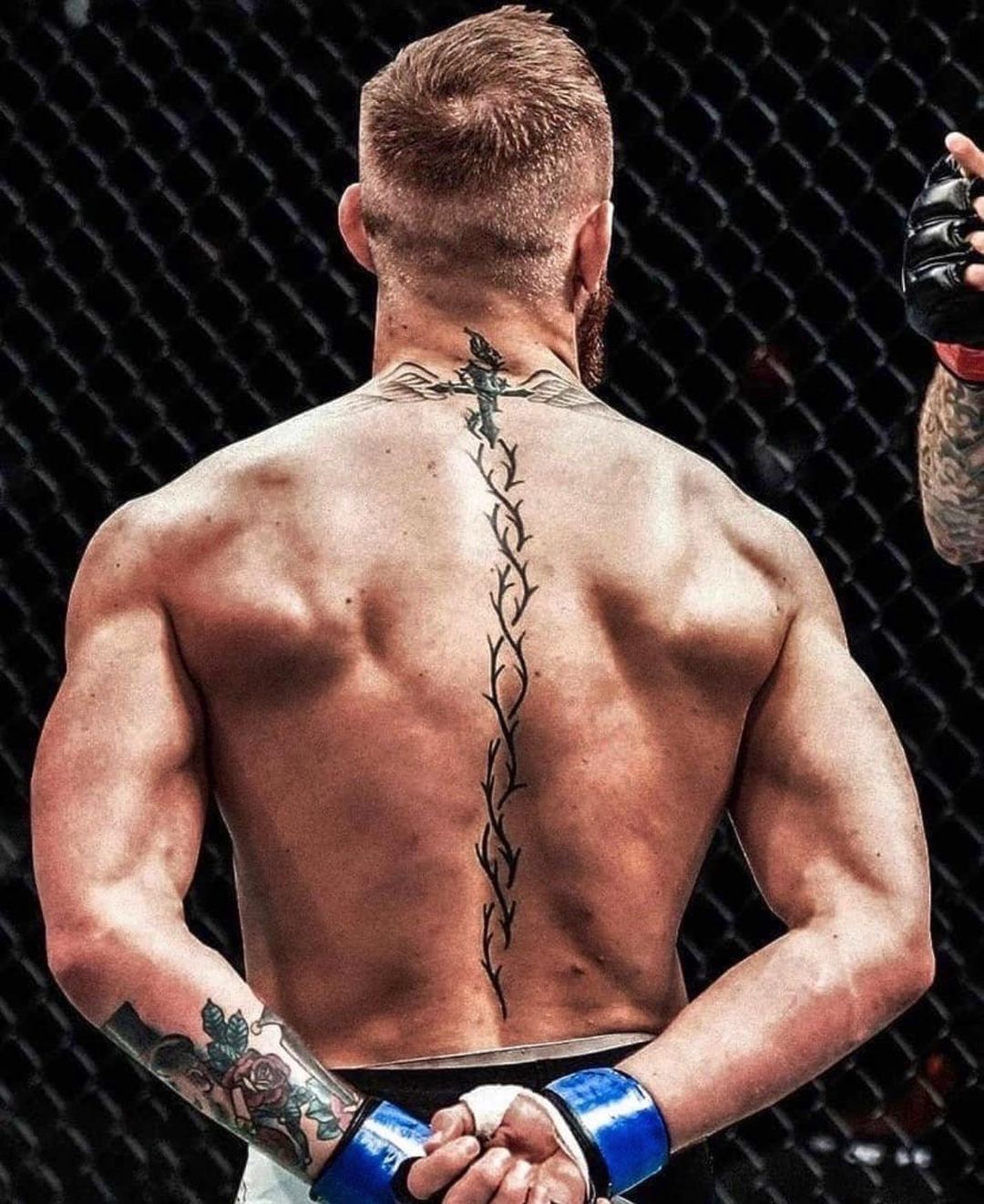 Connor McGregor Back Tattoo: Meaning, Photos, and More