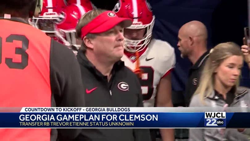 Georgia Football Coach: Learn About the Coach and His Winning Strategies