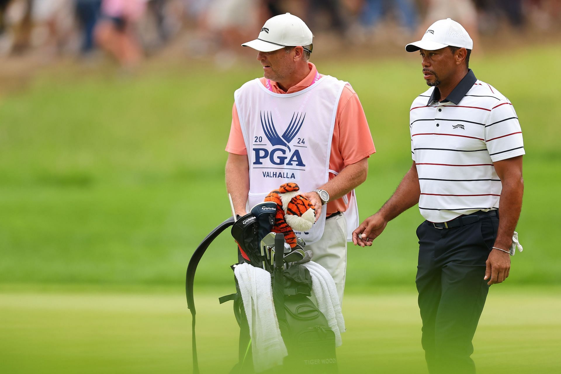 Need a Caddie? Tiger Woods US Open Caddie Secrets!