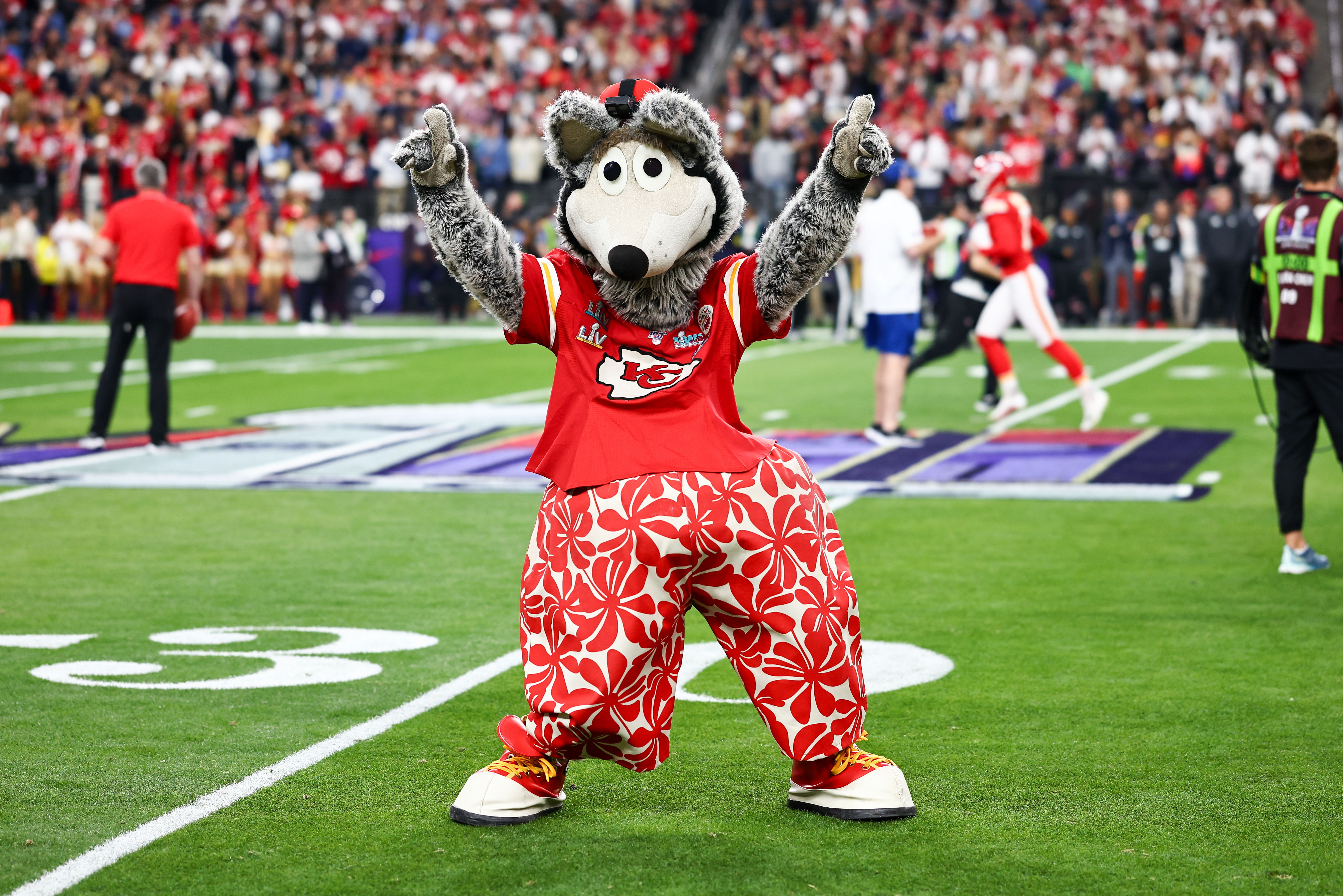 The Kansas City Chiefs Mascot: Your Guide to the Famous KC Wolf.