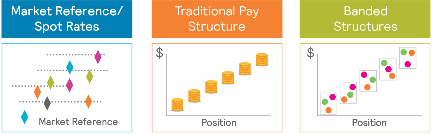 Understanding CFL Income: Breaking Down the Pay Structure.