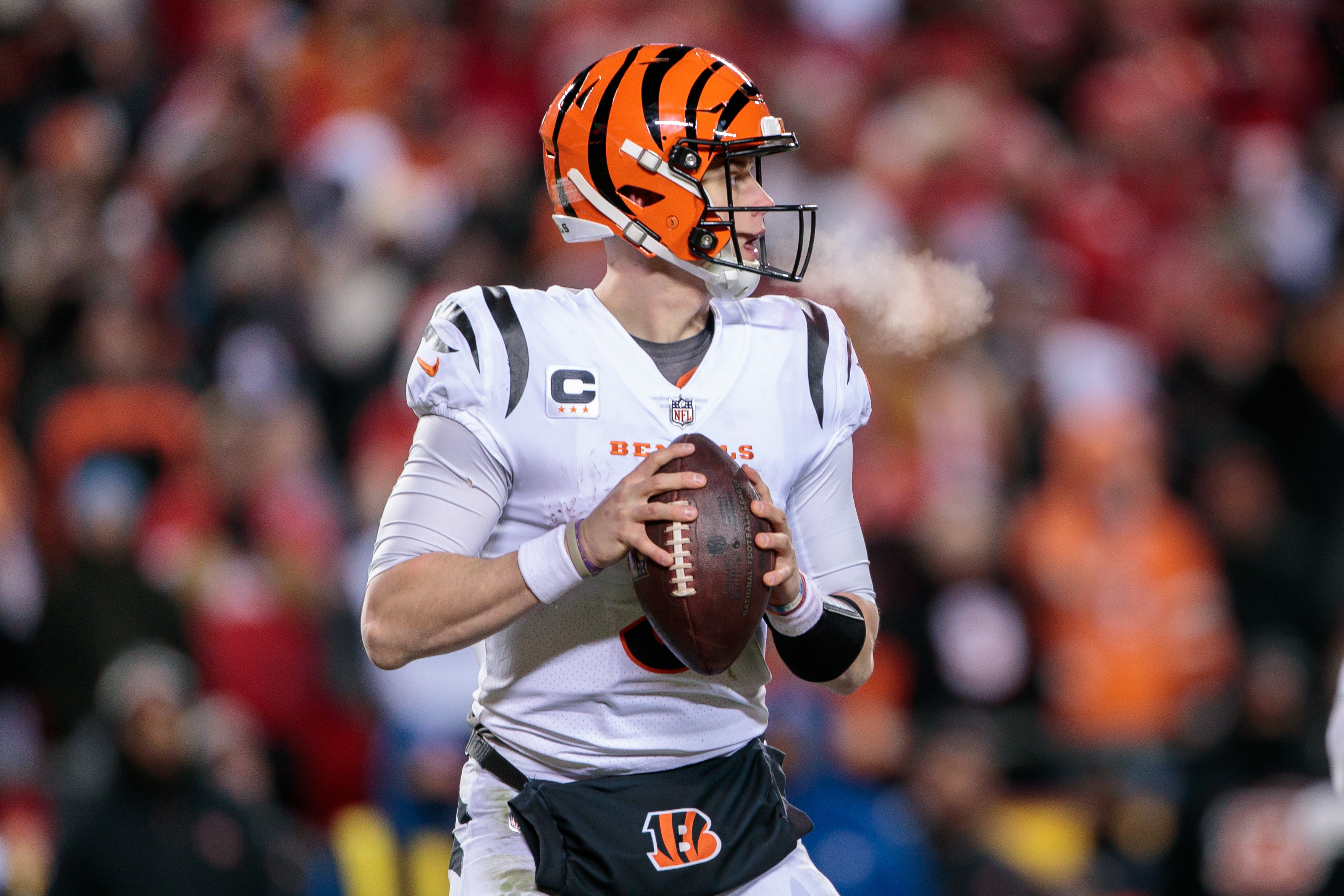 Cincinnati Bengals and Super Bowl Glory: Have the Bengals Won a Super Bowl?